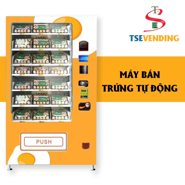 may-ban-trung-2